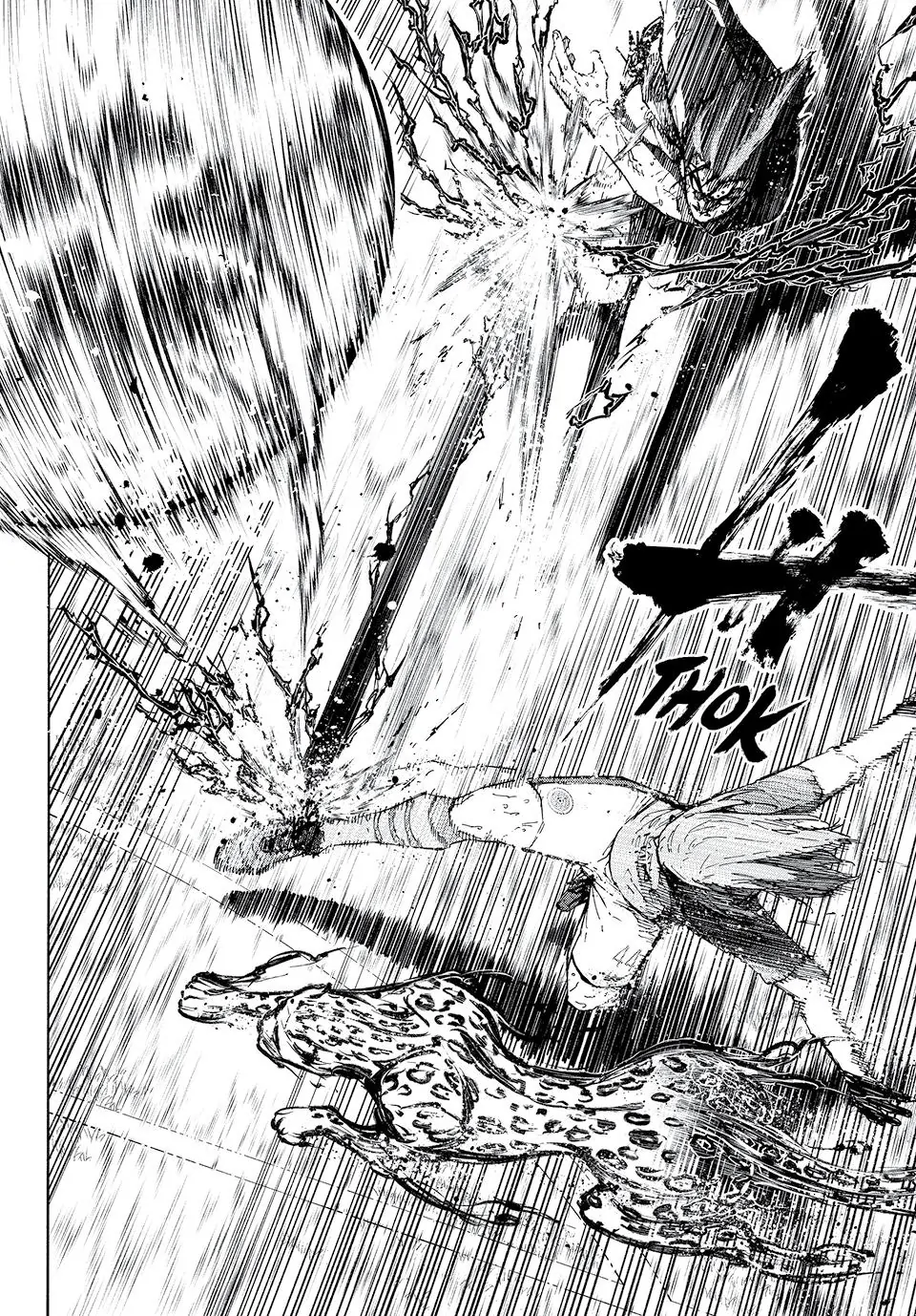 58688642 960 1378 497364