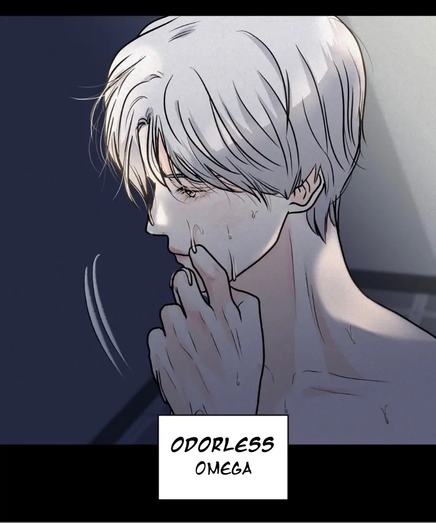 31143472 891 1069 37898