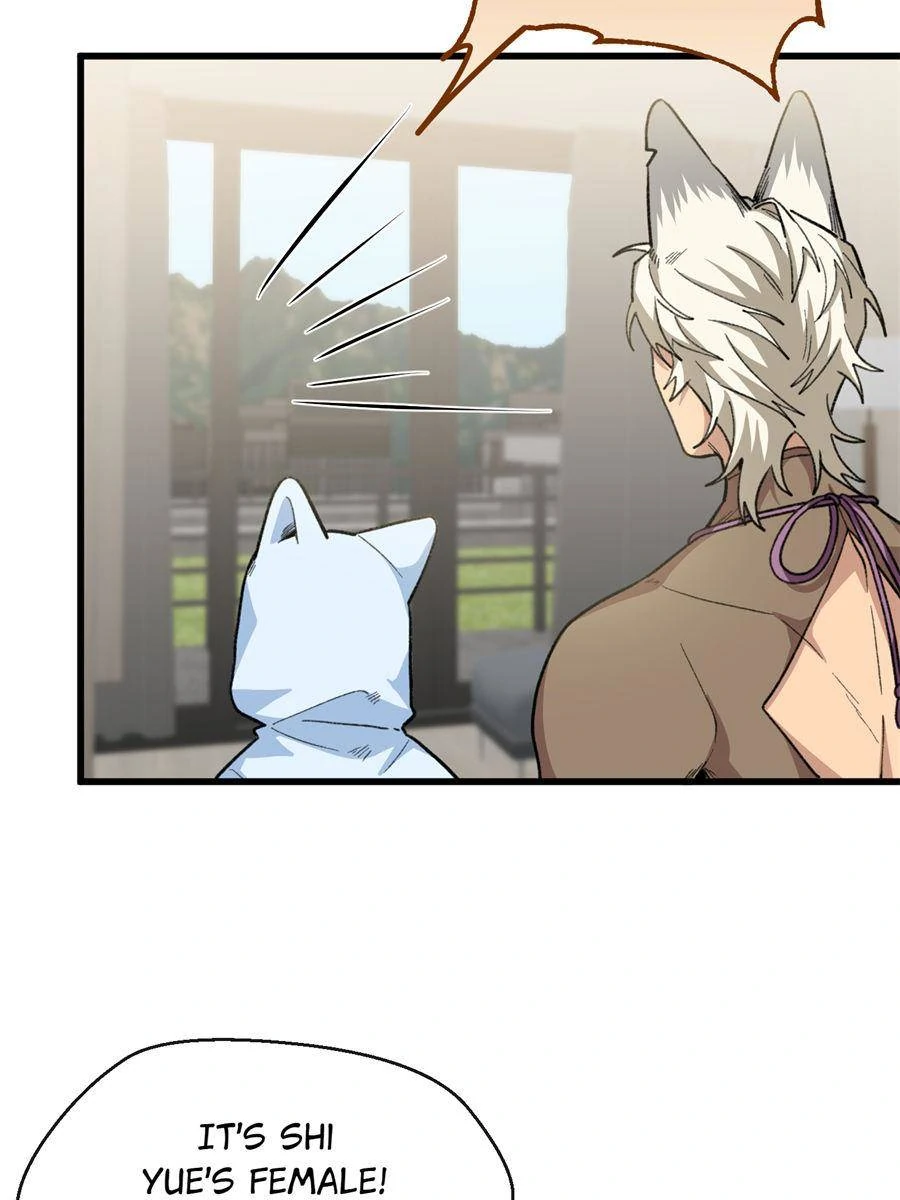 83954213 900 1200 78004